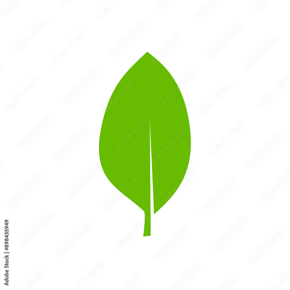 Green leaf icons. Leaves icon. Leaves of trees and plants. Vector illustration. Green leaf icons. Leaves icon. Leaves of trees and plants. Vector illustration.