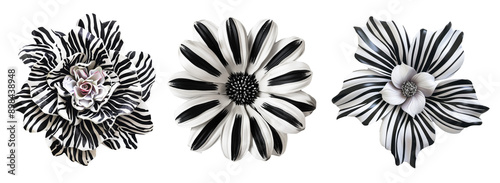 Set of zebra print flowers on isolated background.