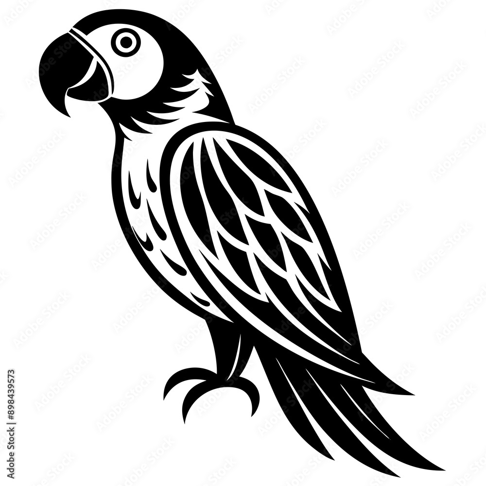 Obraz premium parrot vector