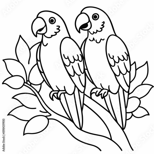 parrot vector