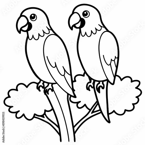 parrot vector
