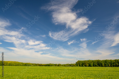 Foto Paysage normand avec ciel et champ au grand angle