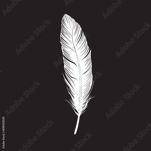 Feather on a black background. Vector illustration for your design