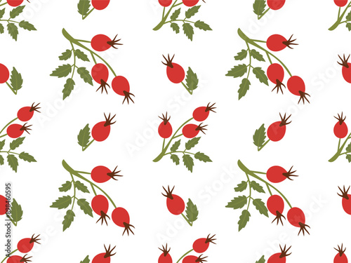 Rosehip seamless pattern. Vector illustration of a rosehip branch. Red berries on a branch