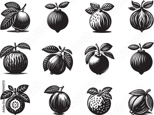 Guava Fruit Silhouette Vector Illustrationk