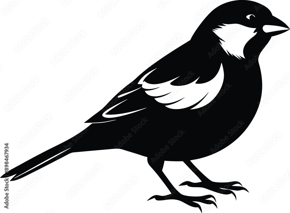 Fototapeta premium Black and white silhouette of a sparrow