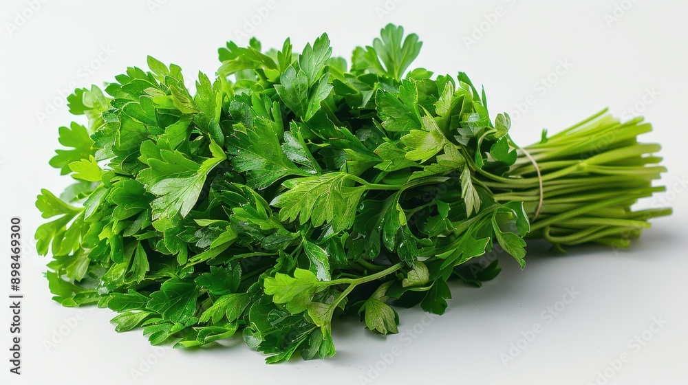 Vibrant Fresh Parsley Leaves on White Background for Culinary Concepts Vibrant Fresh Parsley Leaves on White Background for Culinary Concepts