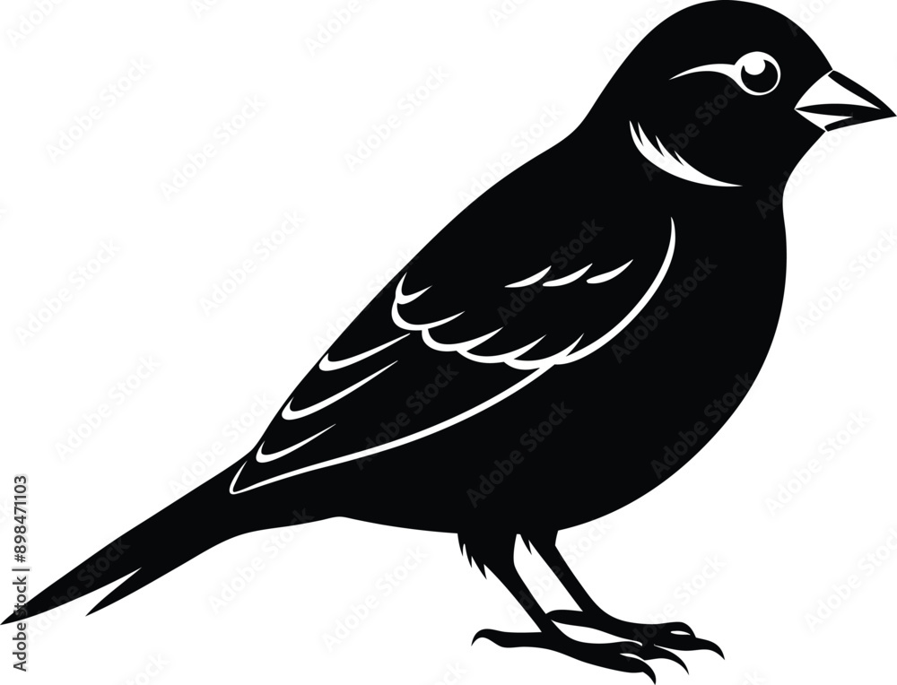 Obraz premium Black and white silhouette of a sparrow