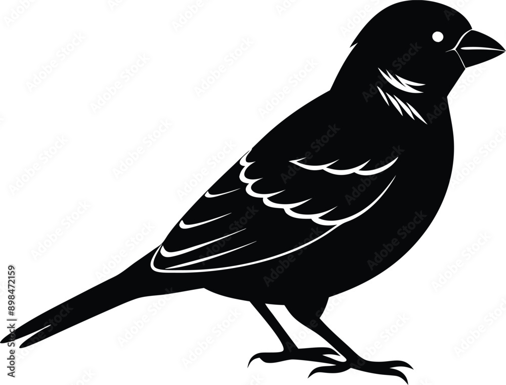 Fototapeta premium Black and white silhouette of a sparrow