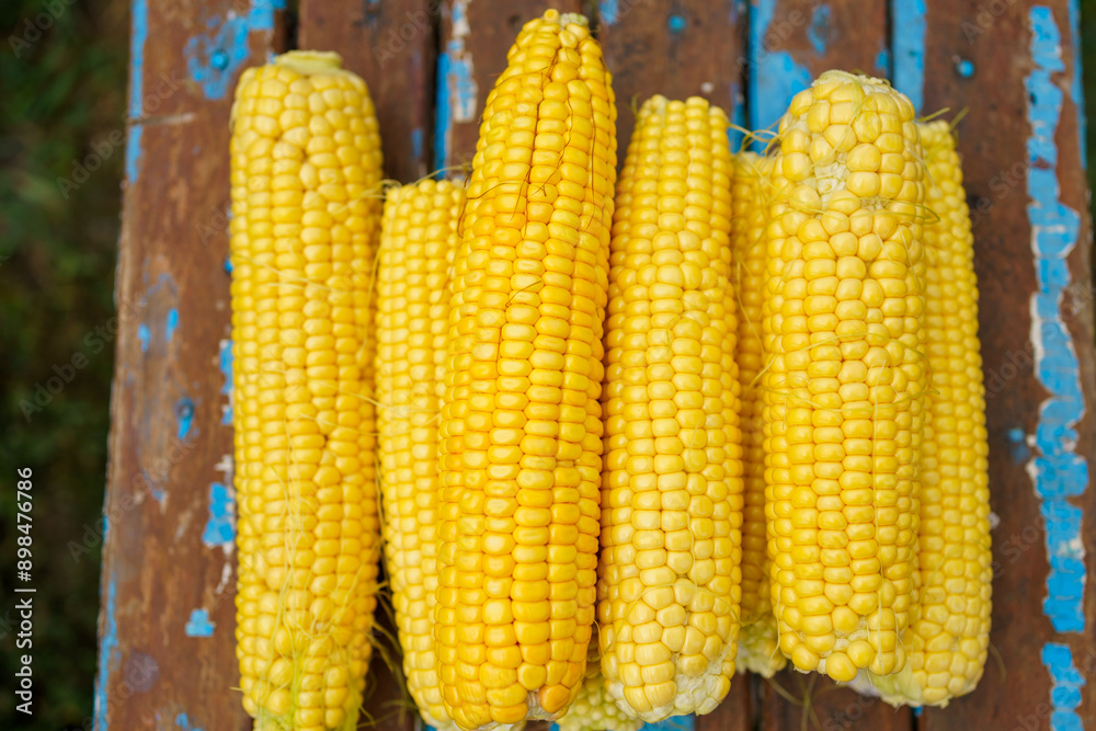 Yellow fresh ears of sweet corn. Fresh raw corn cob with yellow kernel macro texture, close-up. corn on natural wooden background, harvest season, healthy natural products. Yellow fresh ears of sweet corn. Fresh raw corn cob with yellow kernel macro texture, close-up. corn on natural wooden background, harvest season, healthy natural products.