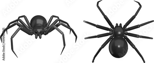 isolated spider top and front view. 3d spider