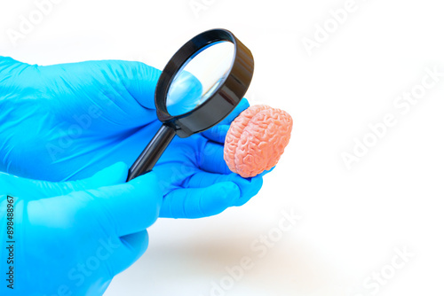 Inspecting Brain Model With Magnifying Glass photo