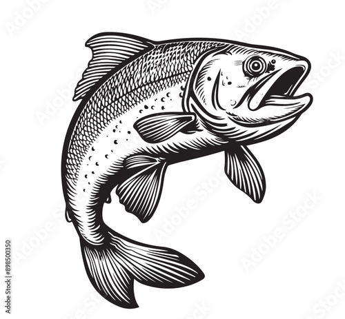 Trout fish in hand drawn strokes. Vector illustration.