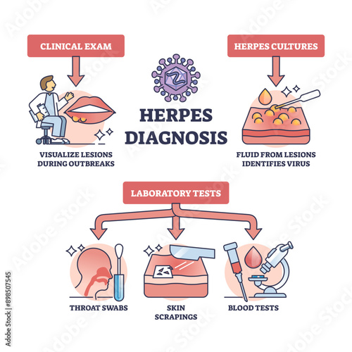 Herpes diagnosis and HSV virus medical diagnosis methods outline diagram, transparent background. Labeled educational scheme with clinical exam, visual inspection.