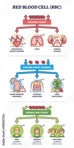 Red blood cell count with low and high and normal levels outline diagram, transparent background. Labeled educational scheme with abnormal RBC test results with possible causes illustration.