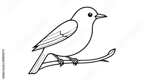 beautiful outline of a bird sitting on stick in vector on white background