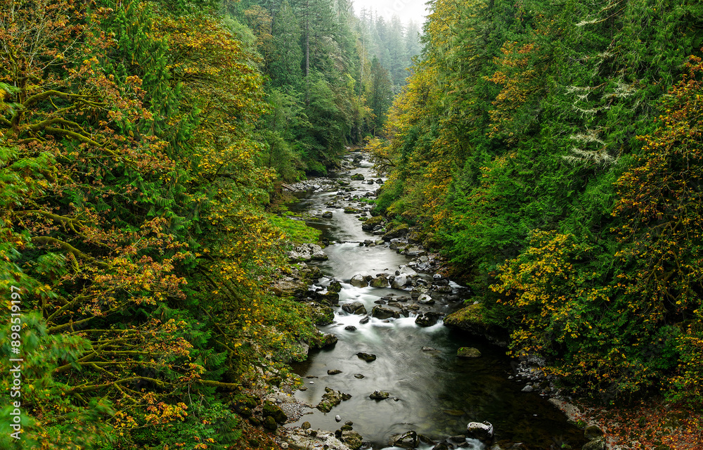 Autumn forest river stream. River in autumn forest Autumn forest river stream. River in autumn forest