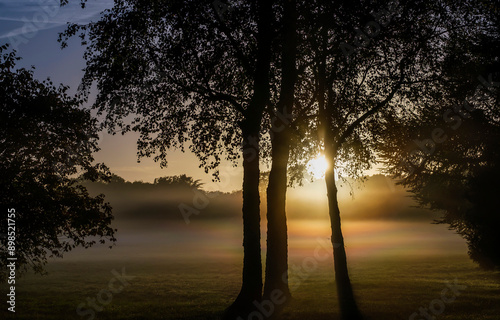 Ealry morning fog at dawn. Sunrise fog with trees photo