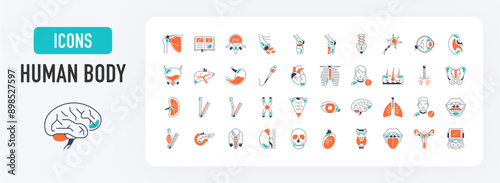 Bundle of body parts and organs icons. Human body vector icon illustration shoulder, liver, heart, x ray, sperm cell, parts, eye, organs, testicle, spinal cord, lungs, broken bone, pelvis, blood