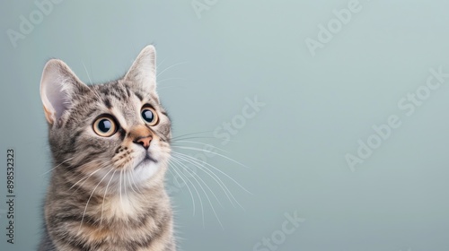 CopySpace Adorable Tabby Cat with Big Eyes Against Light Blue Background, Pet Portrait, Feline Curiosity, Cat Lovers, Animal Photography, Cute Kitten Staring, Whiskers Focus, Domestic Pet Stock Image