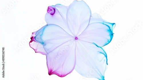 bright splashes of paint turn into a flower on a minimalistic light background