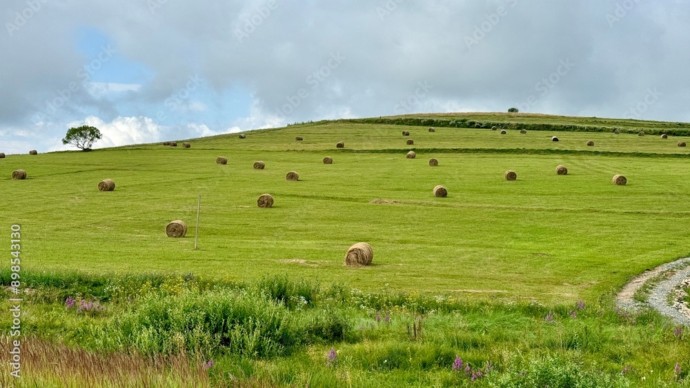 hay field and clouds hay field and clouds