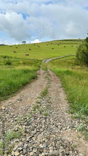 path in the field