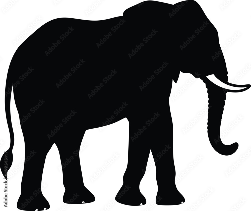 Fototapeta premium Elephant silhouette isolated on white