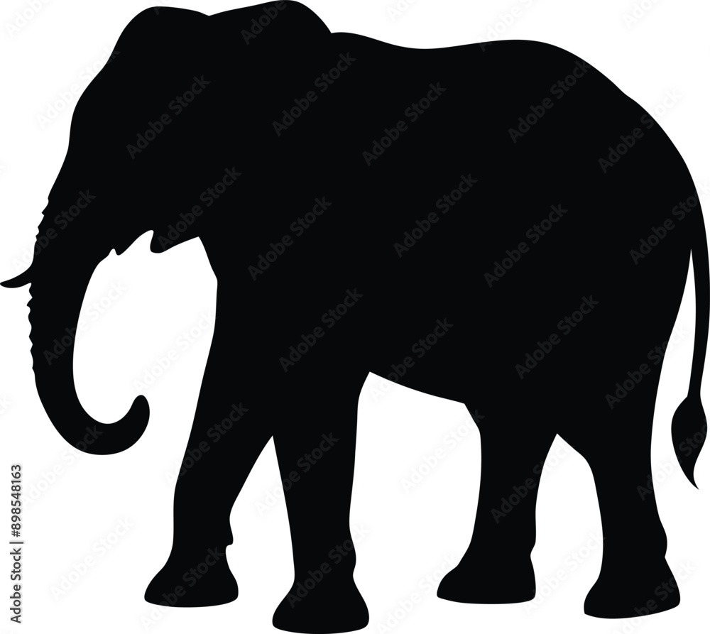 Obraz premium Elephant silhouette isolated on white