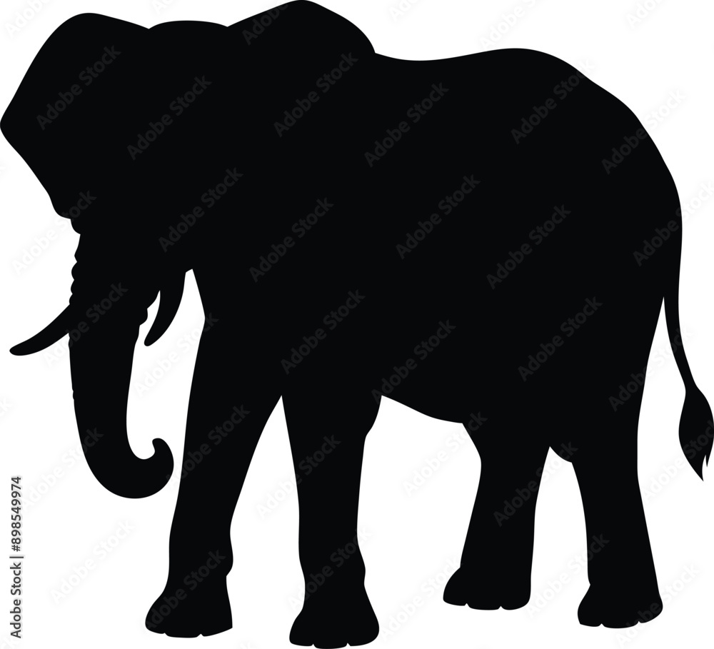 Fototapeta premium Elephant silhouette isolated on white