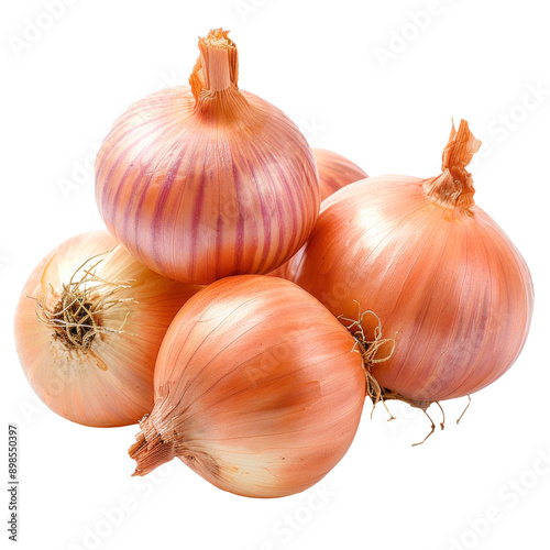 Wallpaper Mural Onion bulbs. PNG element isolated on transparent background. Torontodigital.ca