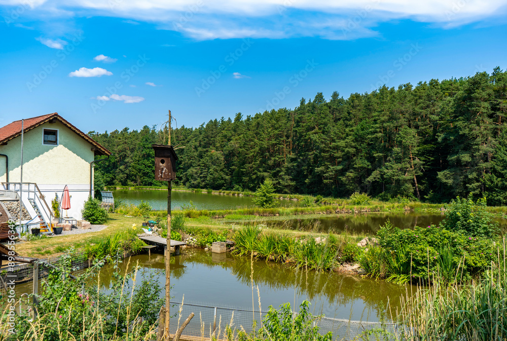 Fototapeta premium Birdhouse by a pond amidst trees, next to a house, forming a natural scene