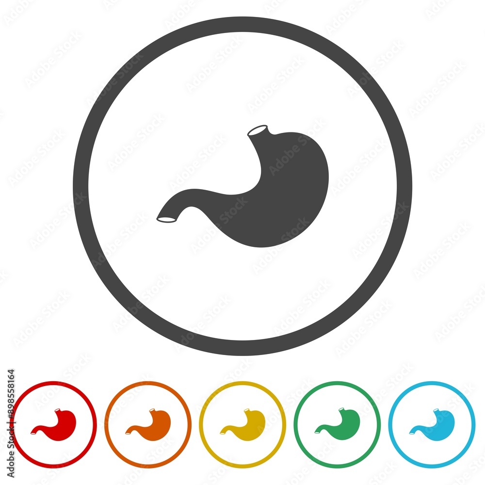Stomach icon. Set icons in color circle buttons Stomach icon. Set icons in color circle buttons