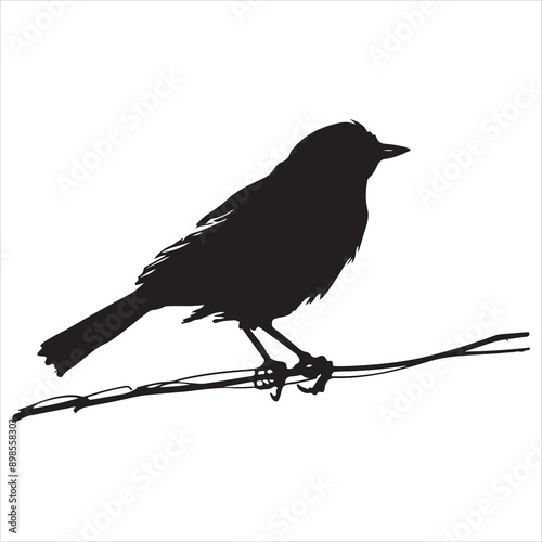 Black and white bird illustration of a silhouette on a wire silhouette on a white background
