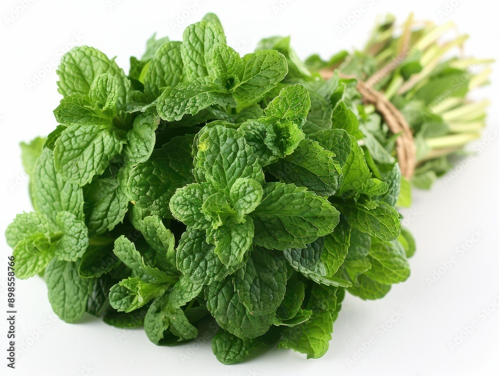 Fresh Bunch of Mint Leaves Isolated on White Background - Organic Herbal Ingredient Concept Fresh Bunch of Mint Leaves Isolated on White Background - Organic Herbal Ingredient Concept