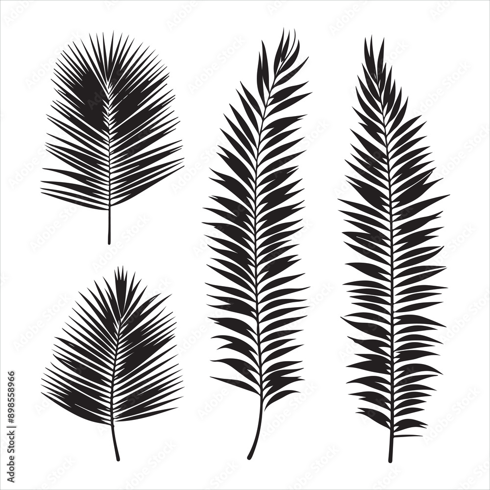 Fototapeta premium Beautiful palm tree leaf set silhouette white background 