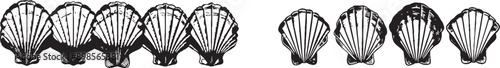 Tropical underwater shells continuous one line illustration. Sea shells, mollusks, scallops, pearls.