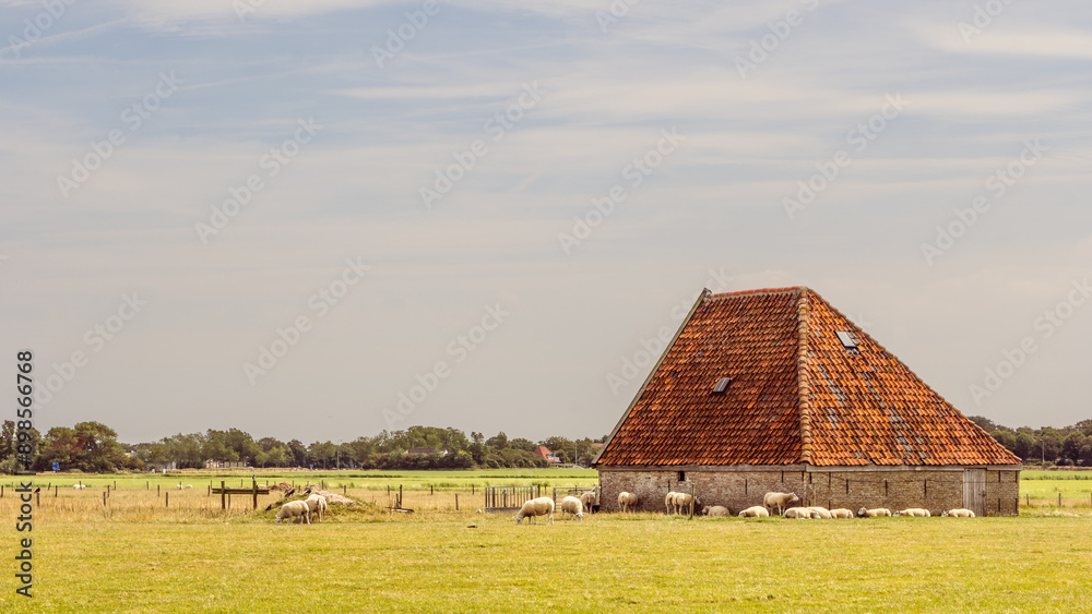 Traditonal ols Sheep barn on the wadden island Texel in the Netherlands Traditonal ols Sheep barn on the wadden island Texel in the Netherlands