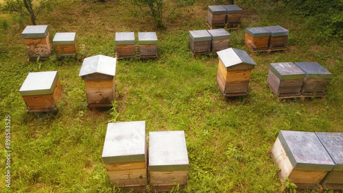 Abeilles dans leur ruche chez un apiculteur photo