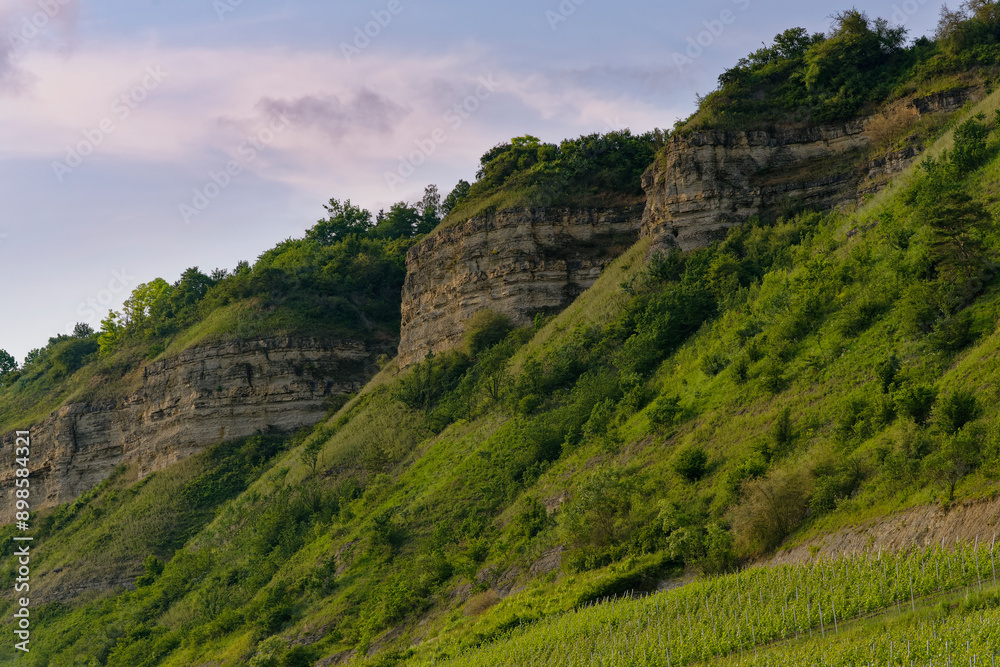 Mainprallhänge und Weinberge zwischen Retzbach am Main und Thüngersheim im Abendlicht, Landkreis Main-Spessart, Unterfranken, Bayern, Deutschland Mainprallhänge und Weinberge zwischen Retzbach am Main und Thüngersheim im Abendlicht, Landkreis Main-Spessart, Unterfranken, Bayern, Deutschland