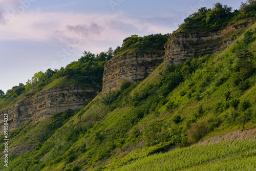 Mainprallhänge und Weinberge zwischen Retzbach am Main und Thüngersheim im Abendlicht, Landkreis Main-Spessart, Unterfranken, Bayern, Deutschland