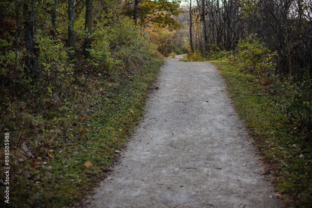 Bike path and hiking trail, not yet illuminated by the morning sunshine within the Pike Lake Unit, Kettle Moraine State Forest, Hartford, Wisconsin Bike path and hiking trail, not yet illuminated by the morning sunshine within the Pike Lake Unit, Kettle Moraine State Forest, Hartford, Wisconsin