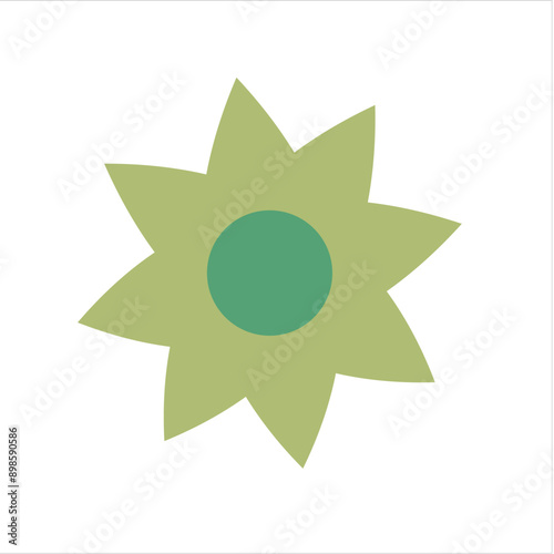 Dark green octagonal star design for logo photo