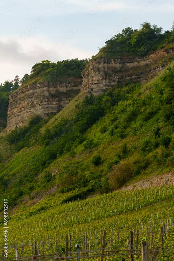 Mainprallhänge und Weinberge zwischen Retzbach am Main und Thüngersheim im Abendlicht, Landkreis Main-Spessart, Unterfranken, Bayern, Deutschland Mainprallhänge und Weinberge zwischen Retzbach am Main und Thüngersheim im Abendlicht, Landkreis Main-Spessart, Unterfranken, Bayern, Deutschland