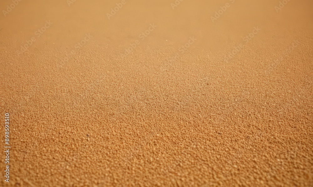 close-up of a sandy surface, possibly a beach or a sandy floor. close-up of a sandy surface, possibly a beach or a sandy floor.
