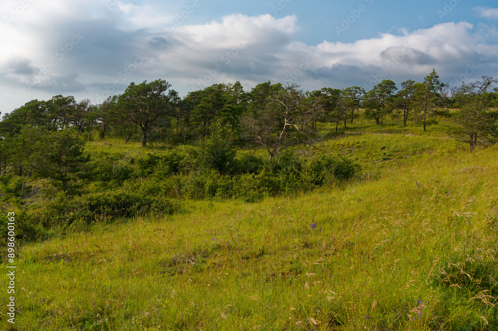 Naturschutz- und Landschaftsschutzgebiet Höhfeldplatte bei Thüngersheim, Landkreis Main-Spessart, Unterfranken, Bayern, Deutschland Naturschutz- und Landschaftsschutzgebiet Höhfeldplatte bei Thüngersheim, Landkreis Main-Spessart, Unterfranken, Bayern, Deutschland