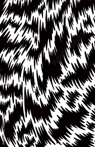 BACKGROUND BLACK AND WHITE ANIMAL SKIN TEXTURE 