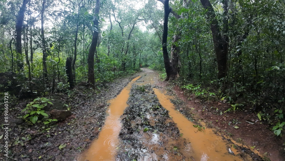 Obraz premium Idyllic hiking route in Matheran hill station, showcasing the beauty of the surrounding nature