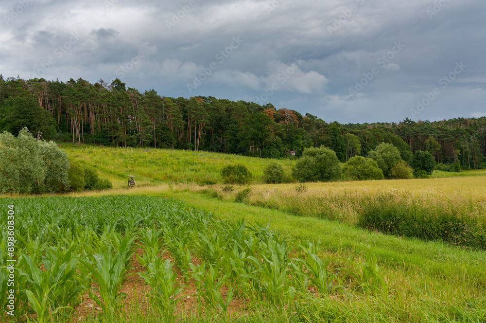 Landschaft entlang der Wern bei Pfersdorf, Gemeinde Poppenhausen, Landkreis Schweinfurt, Unterfranken, Bayern, Deutschland Landschaft entlang der Wern bei Pfersdorf, Gemeinde Poppenhausen, Landkreis Schweinfurt, Unterfranken, Bayern, Deutschland