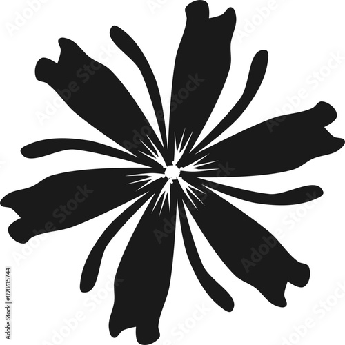 black and white flower